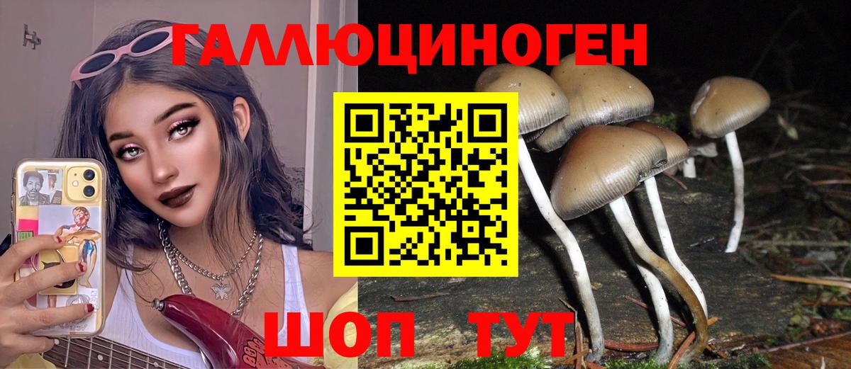 Псилоцибиновые грибы мицелий  Вход с VPN  Галлюциногенные грибы Psilocybine cubensis  Лосино-Петровский 